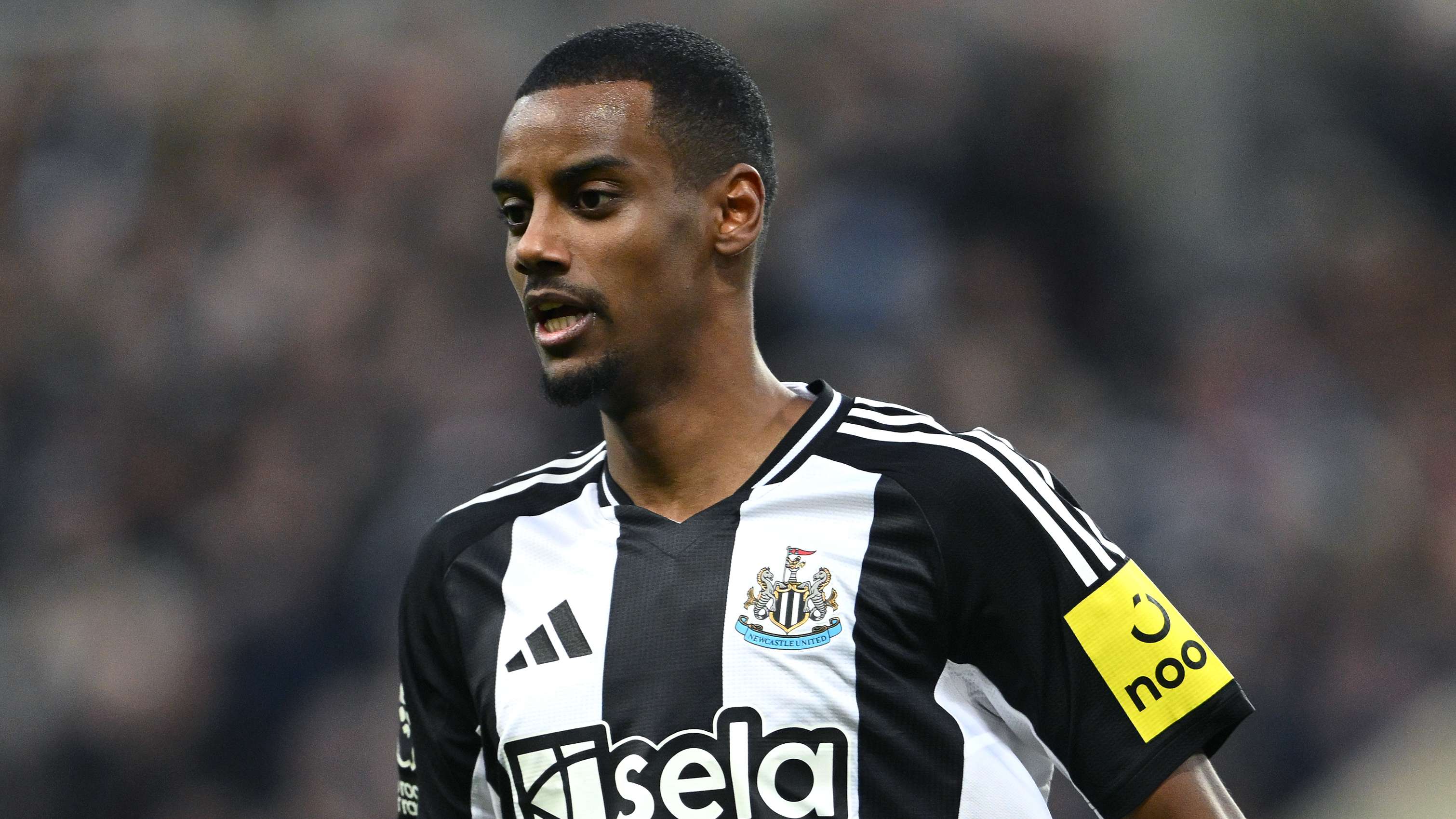 安排逐渐受 安排逐渐受